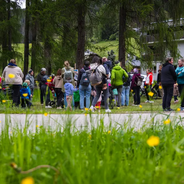 Fünf Schulen nahmen an der Veranstltung teil